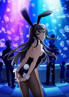 Seishun Buta Yarou wa Bunny Girl Senpai no Yume wo Minai promotional cover artwork